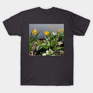 Flowering Spring Bulbs T-Shirt